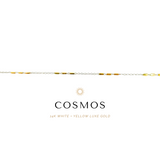 Cosmos Anklet